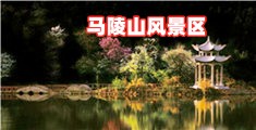 逼操操电影